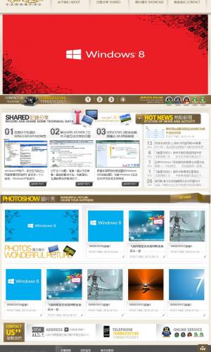 網絡公司網站程序 科技公司 網吧維護網站程序 模板 帝國CMS 019