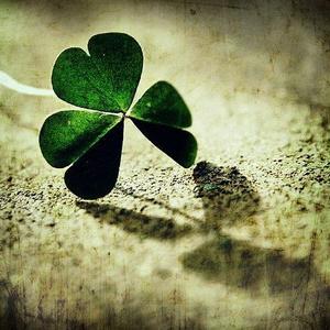 本站提供的DEDECMS整站程序安裝方法和步驟！