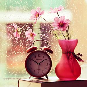 帝國CMS的基本操作視頻教程-墨魚出品