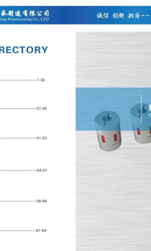 2009哈寧聯軸器樣本
